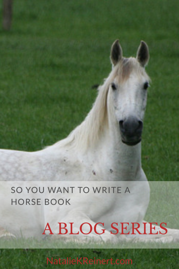 You can write a horse book! This blog series will help aspiring writers put their equestrian novel together, from bestselling author Natalie Keller Reinert.